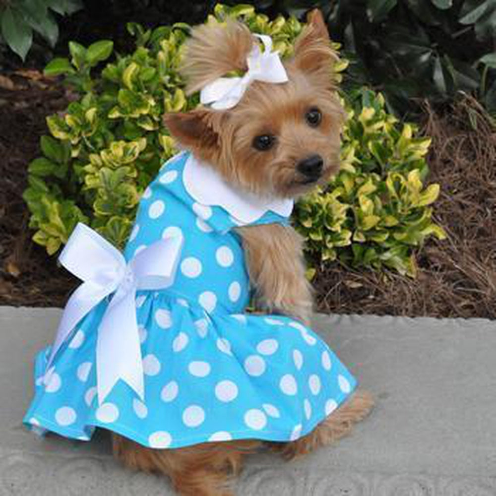 Blue Polka Dot Dog Dress - Matching Leash