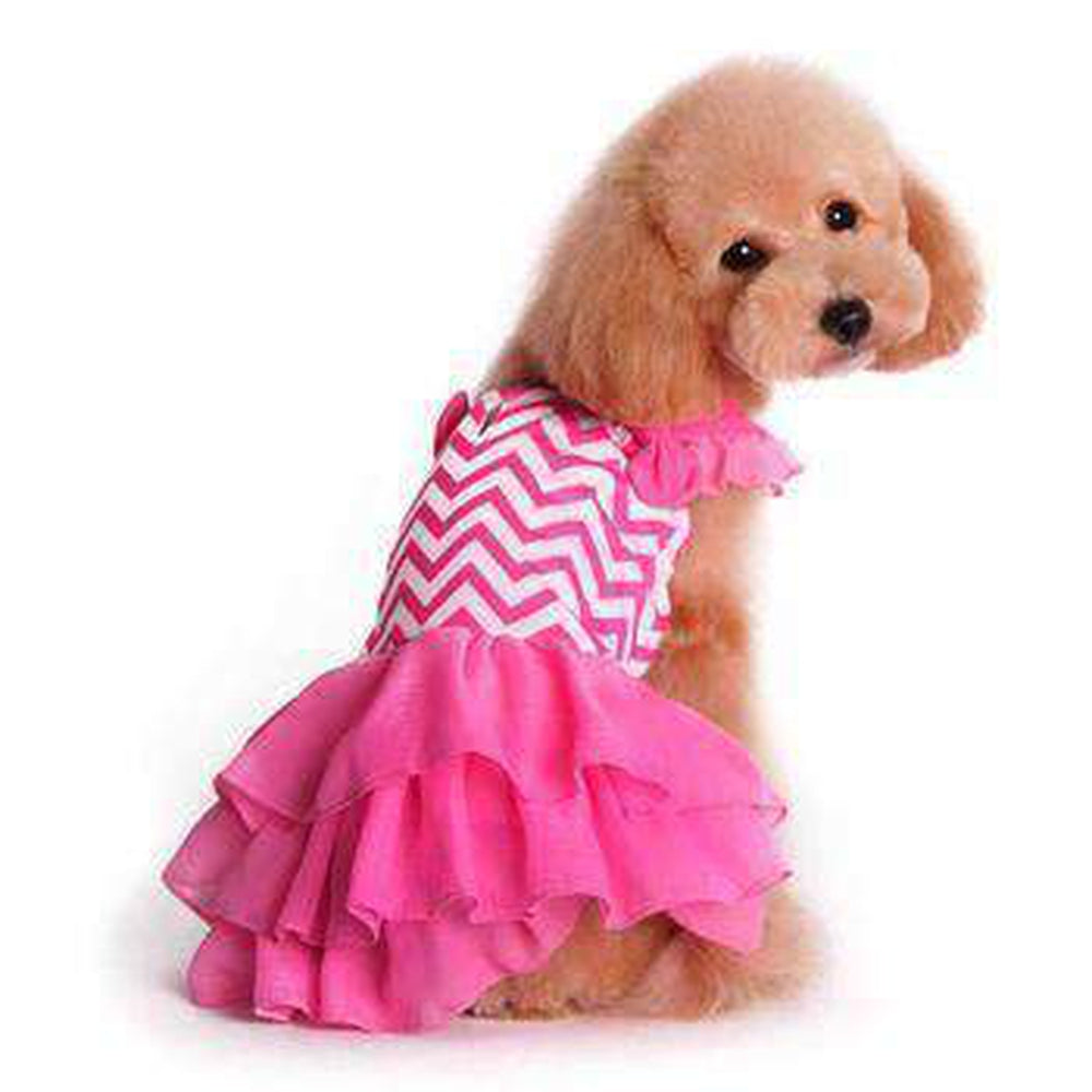 Chevron Dog Dress