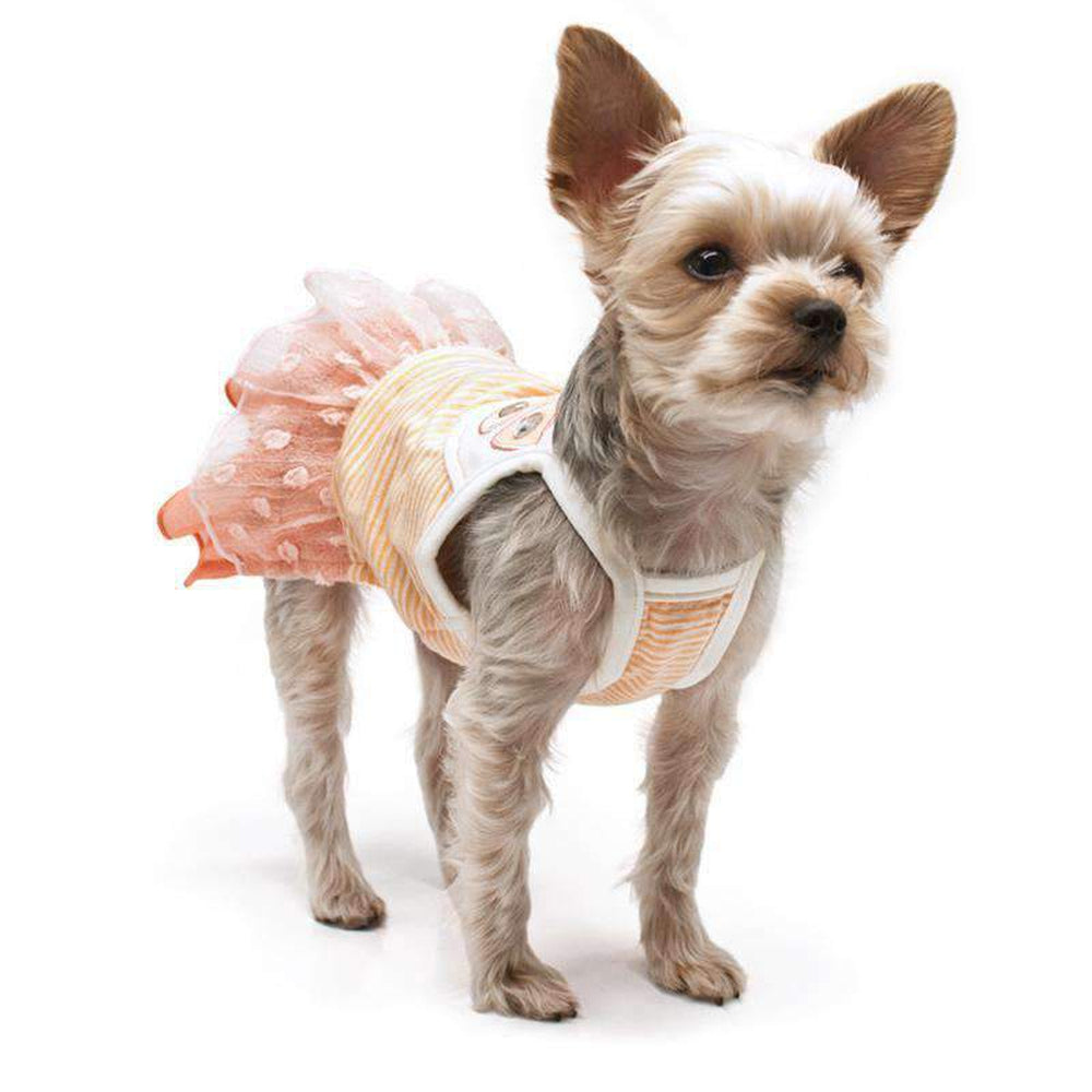 Citrus Ruffle Dog Dress