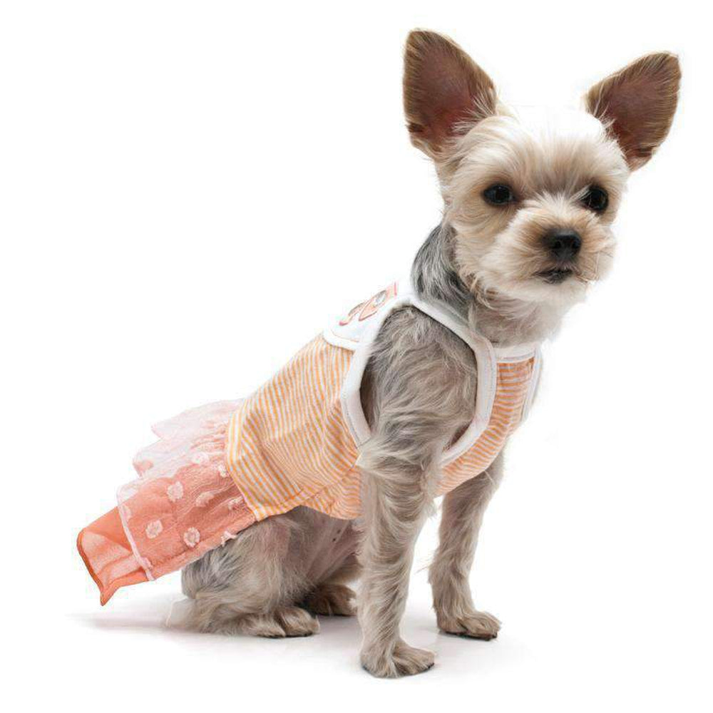 Citrus Ruffle Dog Dress