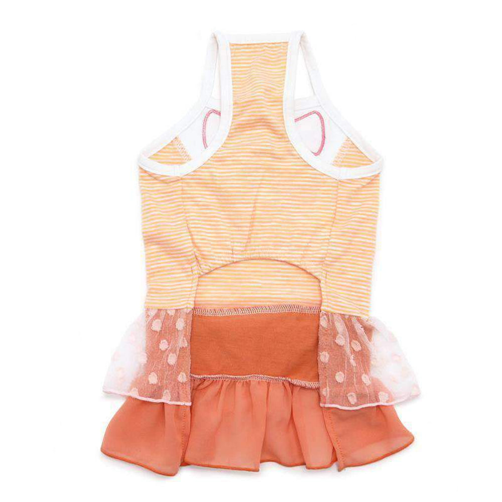 Citrus Ruffle Dog Dress