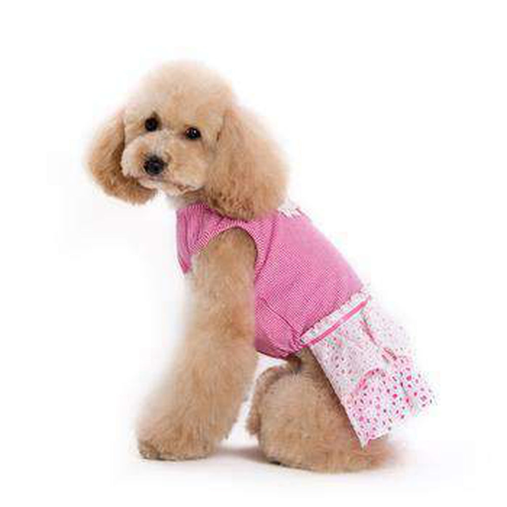 Eyelet Flower Dog Dress