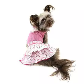 Eyelet Flower Dog Dress