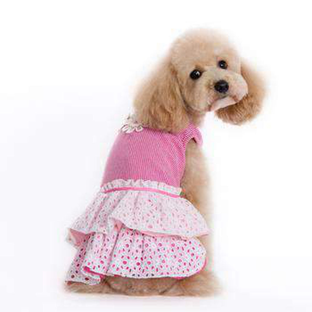 Eyelet Flower Dog Dress