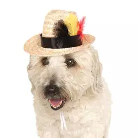 Fedora Dog Hat with Feathers