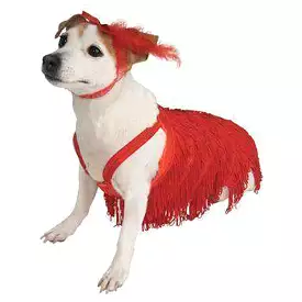 Flapper Dog Dress Costume