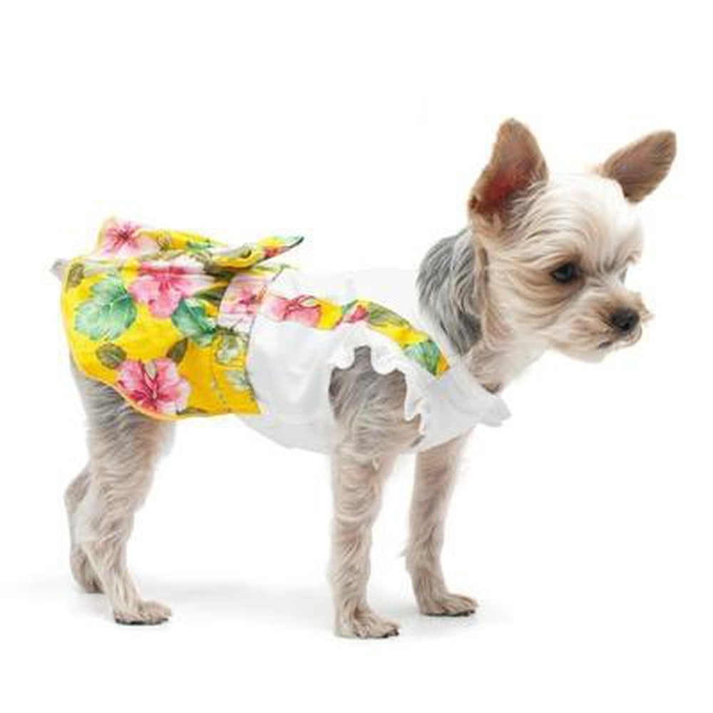 Floral Suspender Dog Dress