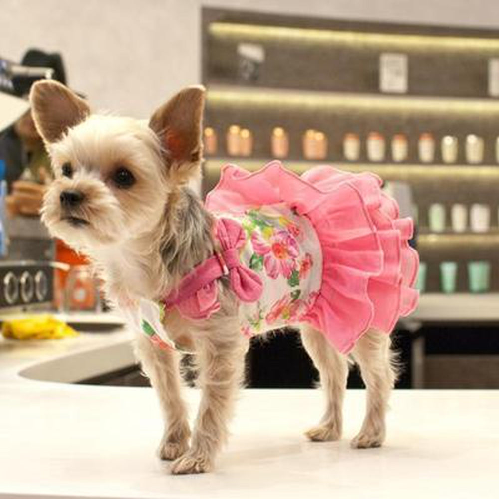 Flower Flounce Dog Dress