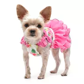 Flower Flounce Dog Dress