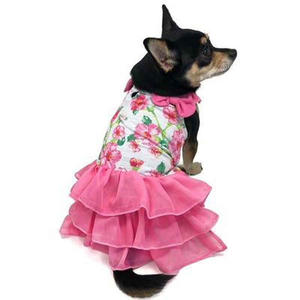 Flower Flounce Dog Dress