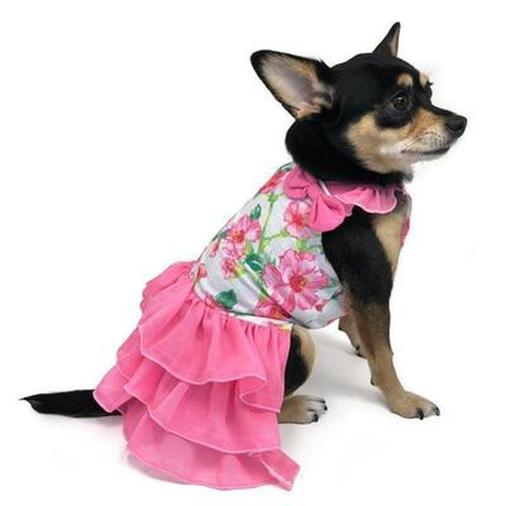 Flower Flounce Dog Dress