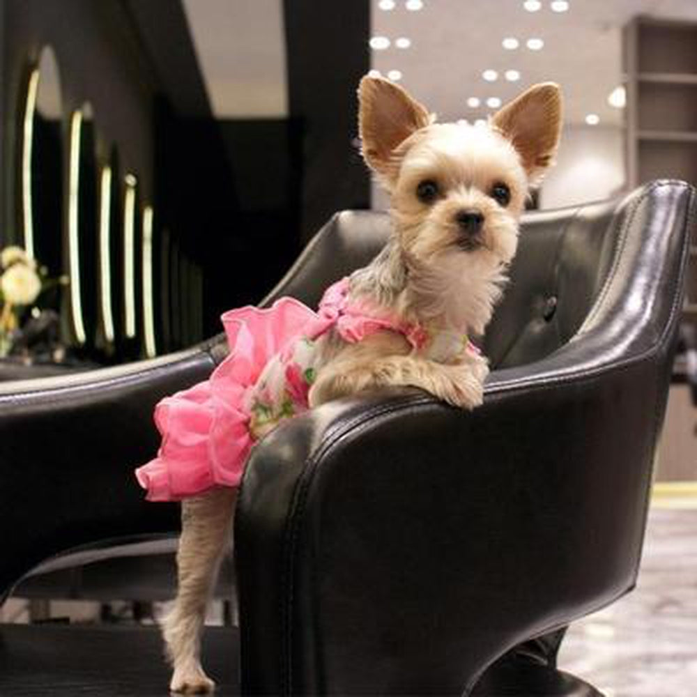 Flower Flounce Dog Dress