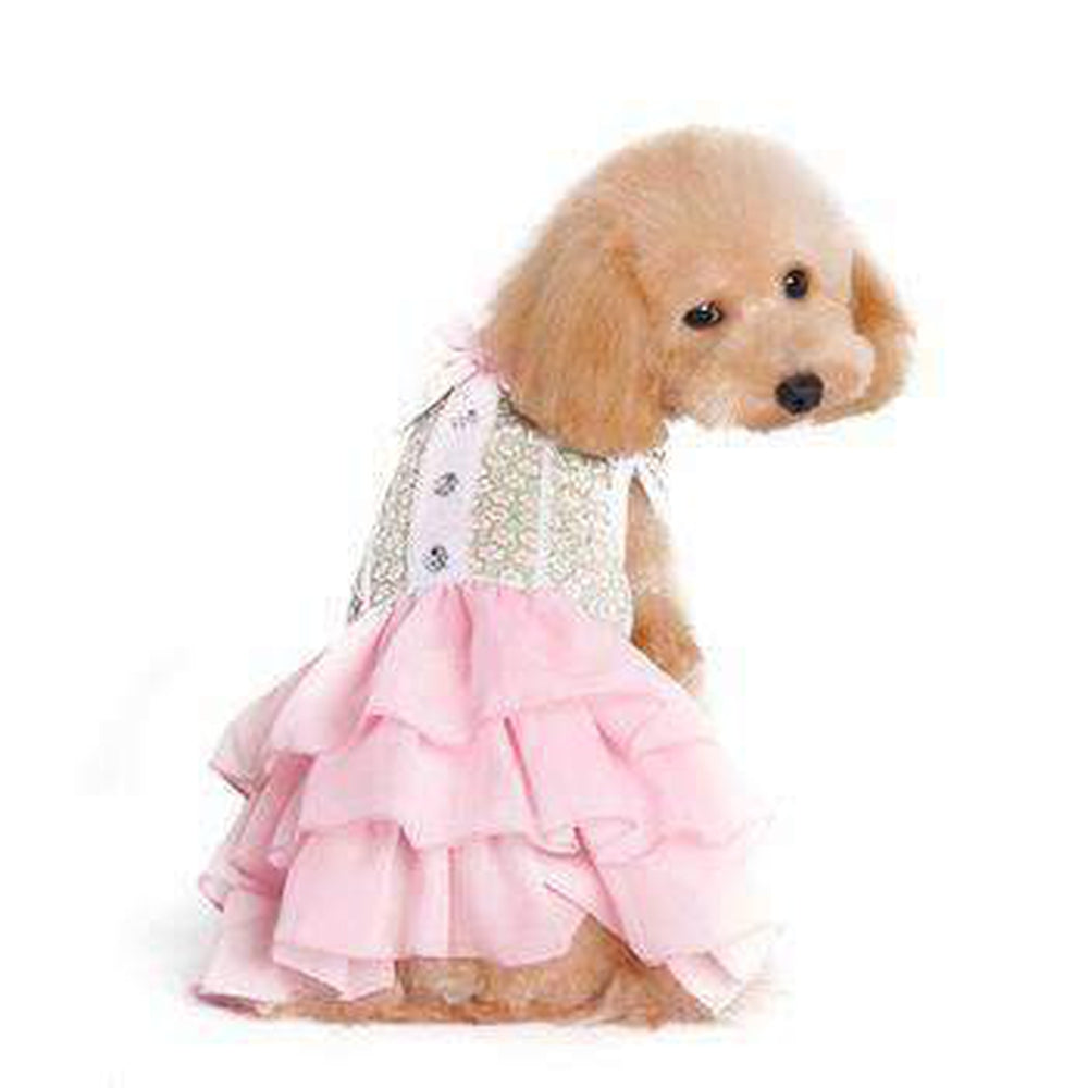 Gatsby Girl Dog Dress