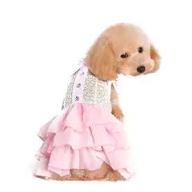 Gatsby Girl Dog Dress