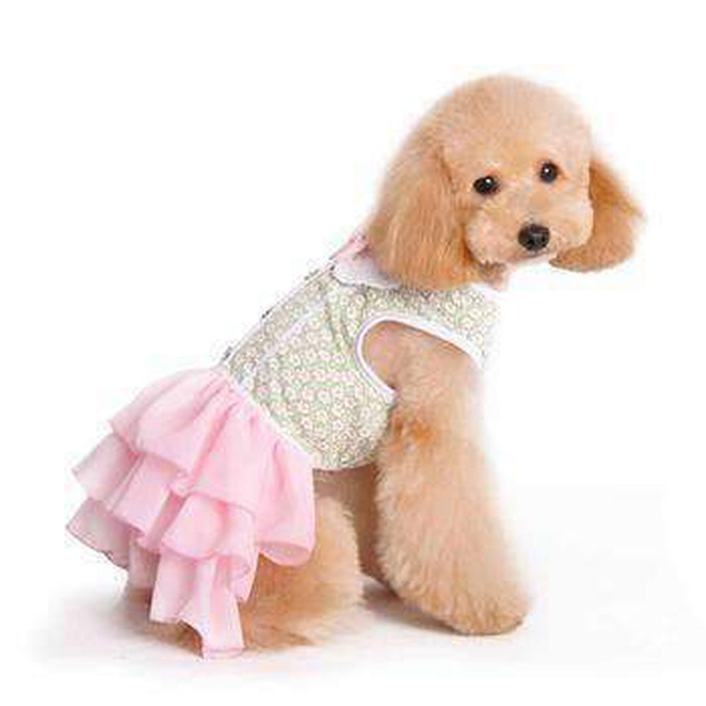 Gatsby Girl Dog Dress