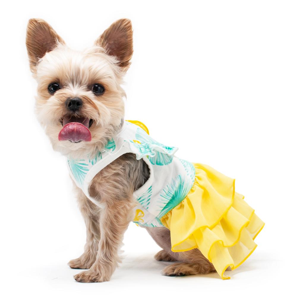 Leafy Ruffle Yellow Dog Dress