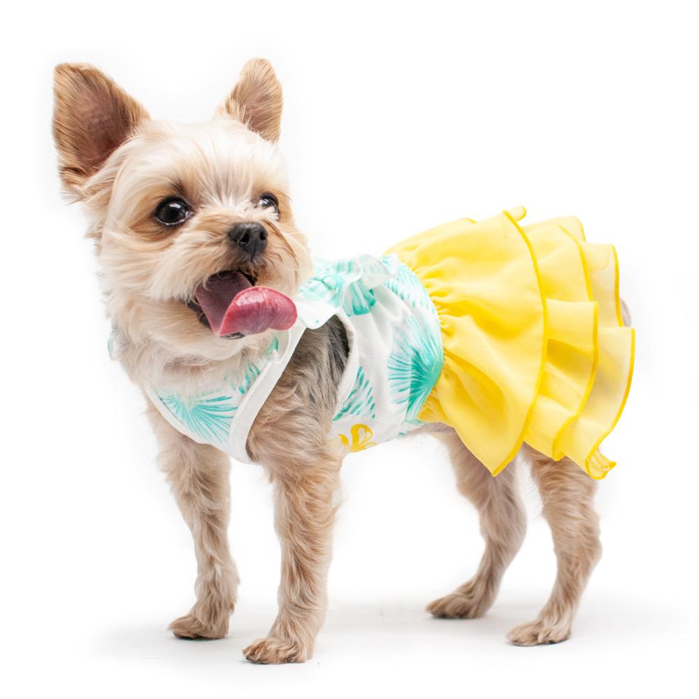 Leafy Ruffle Yellow Dog Dress