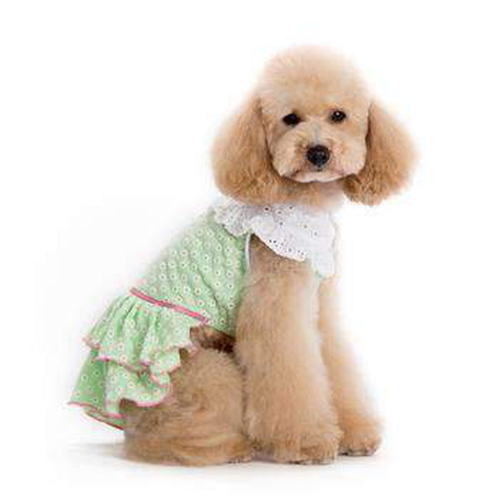 Little Flower Dog Dress