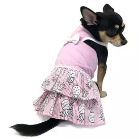 Pineapple Dog Dress