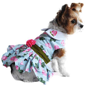 Pink Rose Harness Dress with Matching Leash