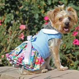 Powder Blue and Pearls Floral Dog Harness Dress