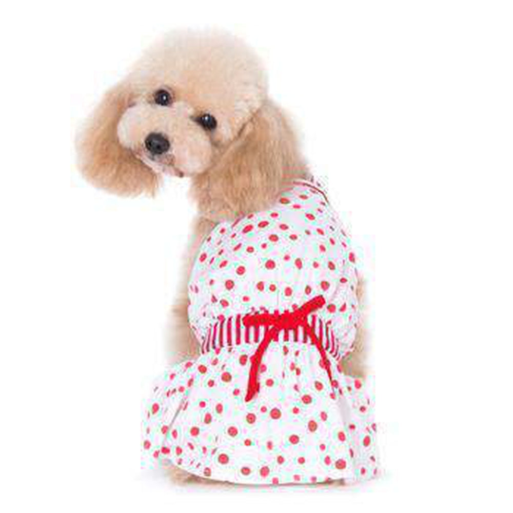 PuppyPAWer Bubble Dog Sun Dress