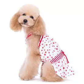 PuppyPAWer Bubble Dog Sun Dress