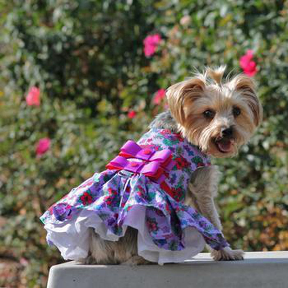 Purple and Red Floral Dog Harness Dress