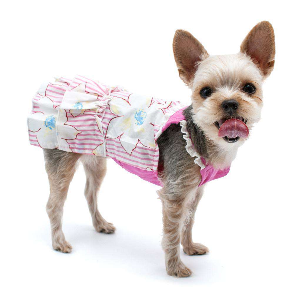 Summer Floral Dog Dress