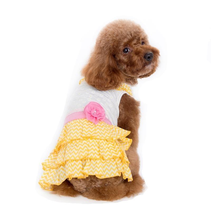 Sunshine Chevron Dog Dress