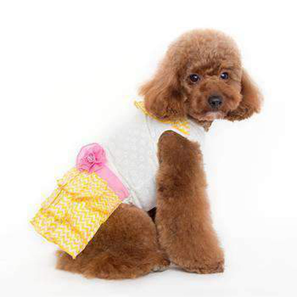 Sunshine Chevron Dog Dress